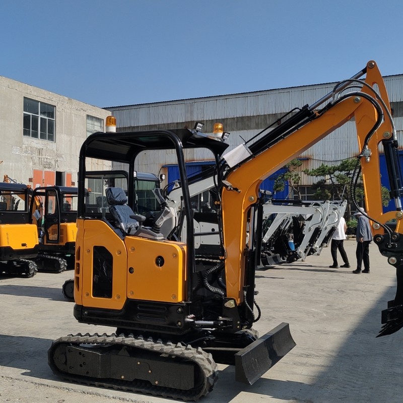Escavatore da 2,5 tonnellate