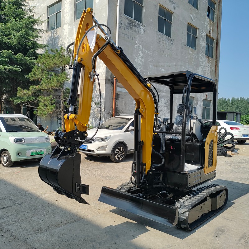 Escavatore da 2,5 tonnellate
