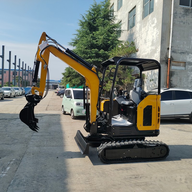 Escavatore da 2,5 tonnellate