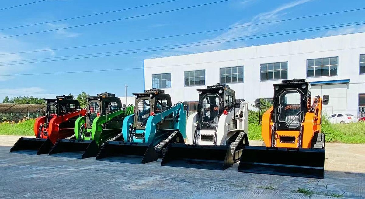 Minipala cingolata Minipala cingolata