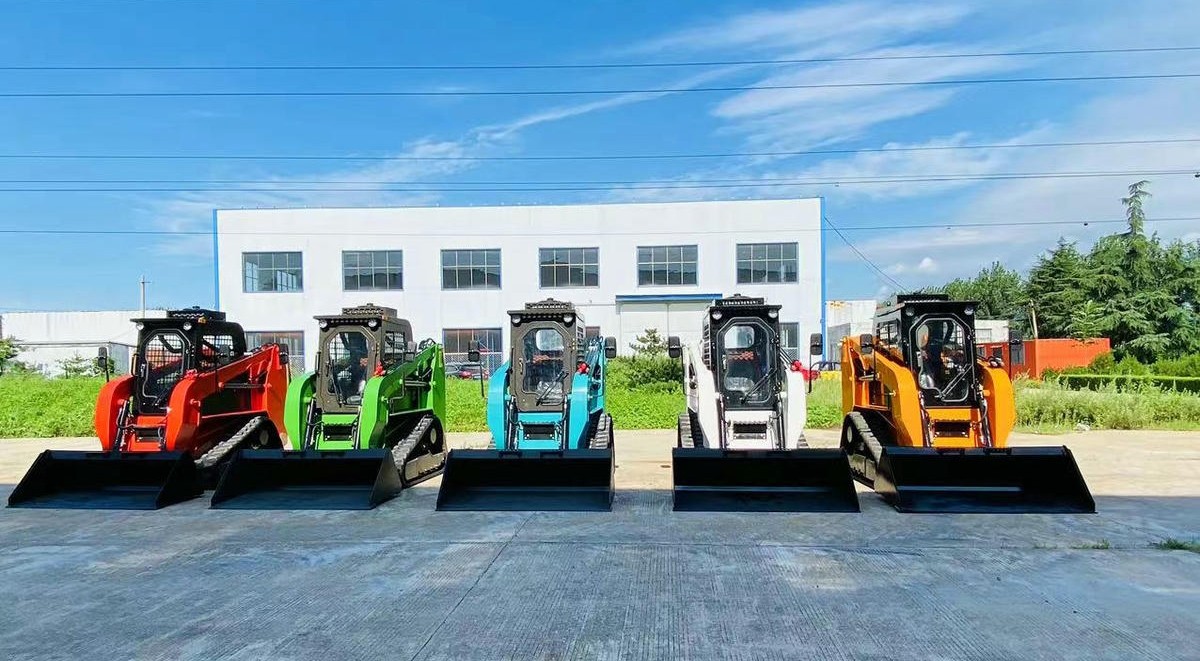 Minipala cingolata Minipala cingolata