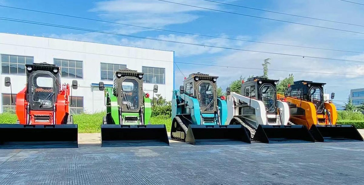 Minipala cingolata Minipala cingolata